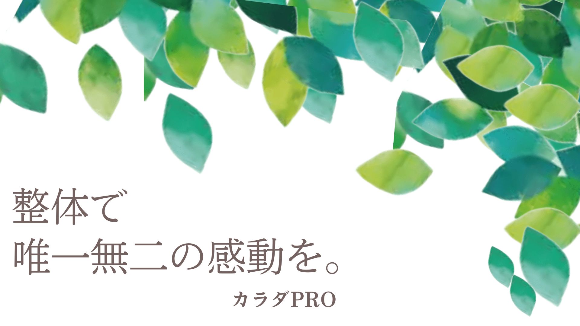 整体オタク